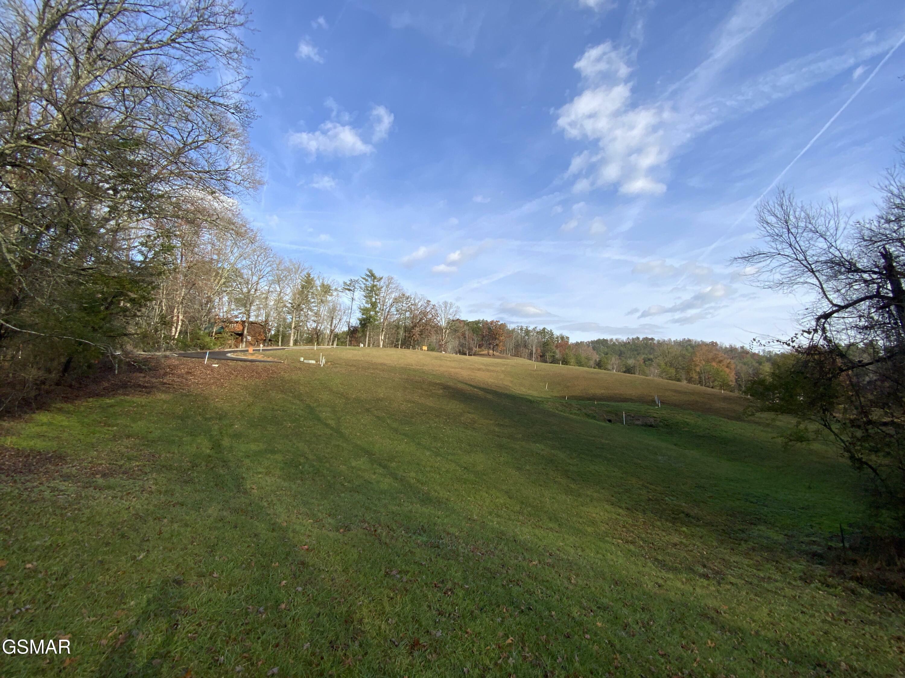 Property Photo:  Lot #75 Max Ridge Lane  TN 37862 