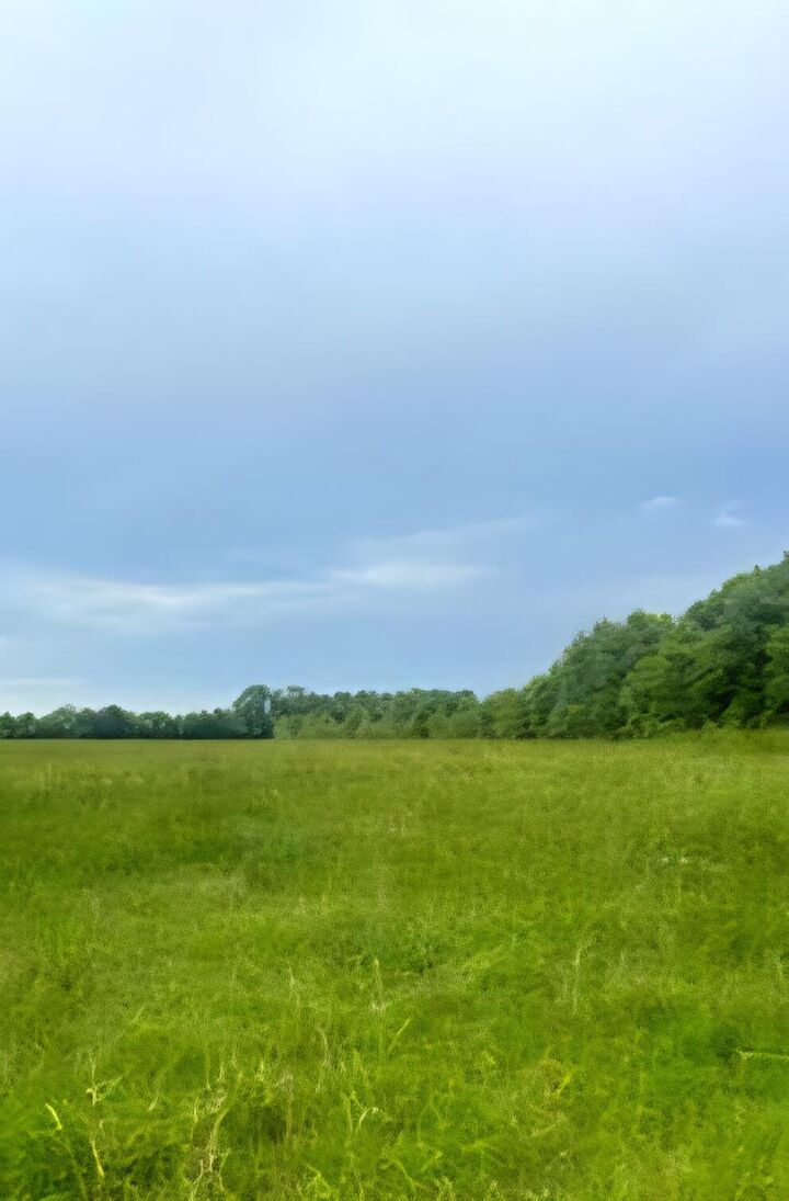 Property Photo:  682 Williams Road  FL 32433 