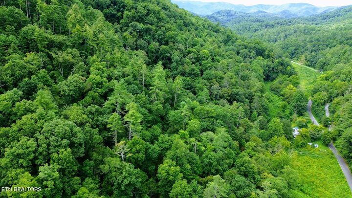 Property Photo:  Carrs Creek (38 Acres) Rd  TN 37882 