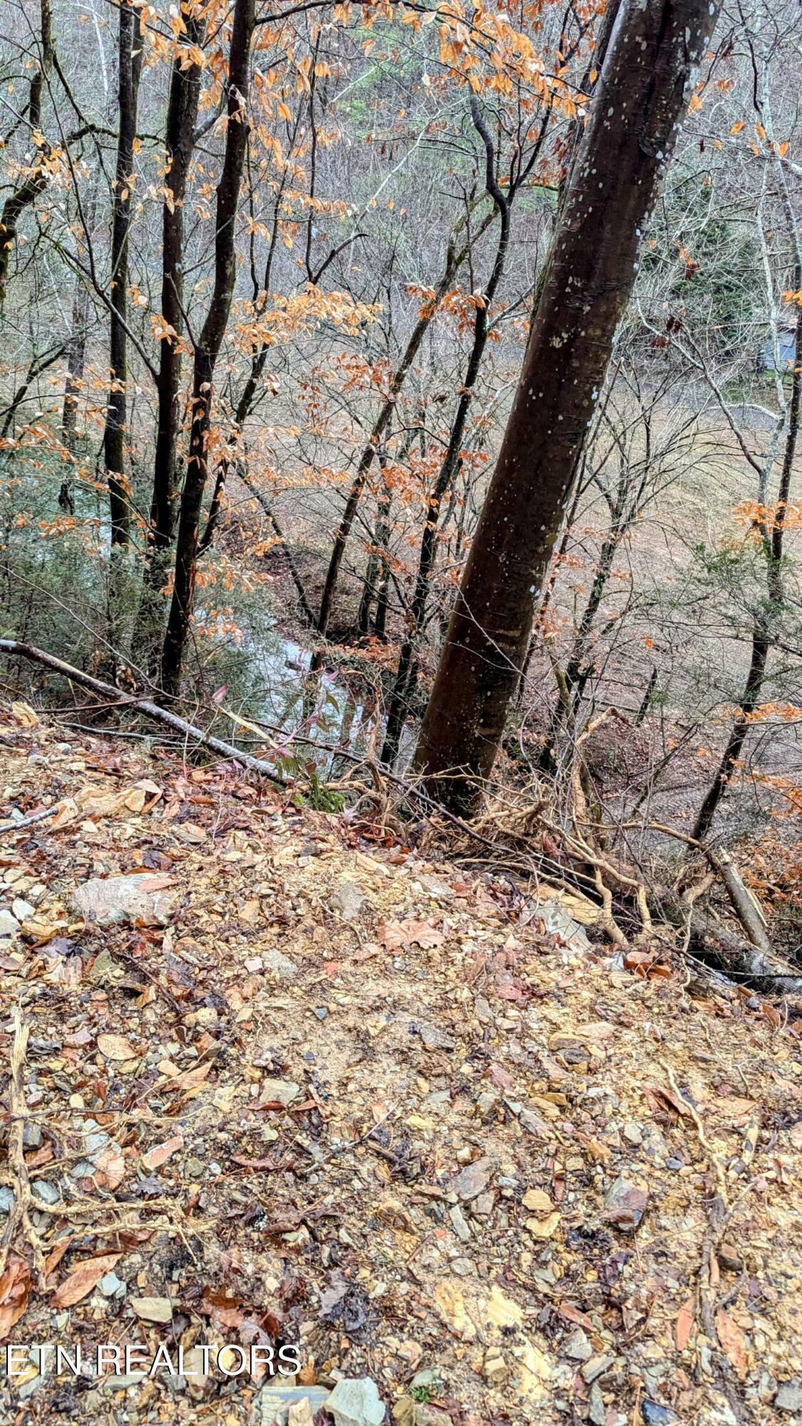 Property Photo:  Carrs Creek Rd  TN 37882 