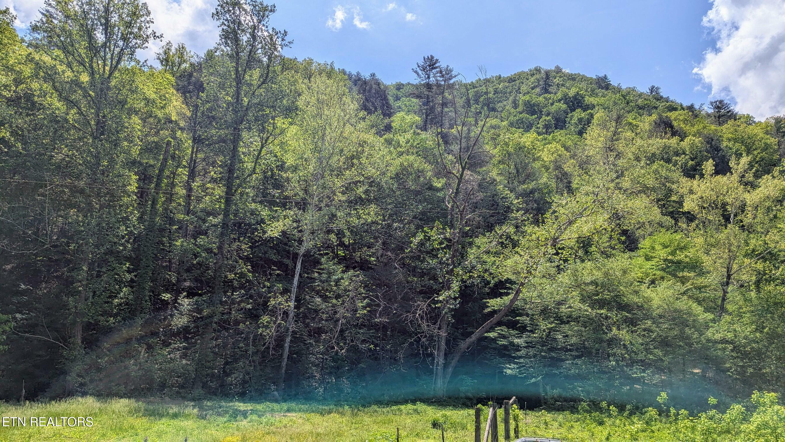 Property Photo: Carrs Creek Rd TN 37882