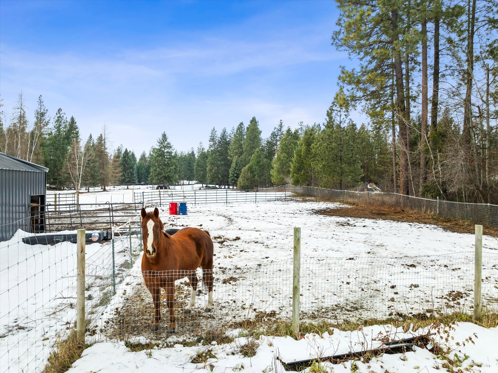 Property Photo:  1985 Mt Highway 206  MT 59912 