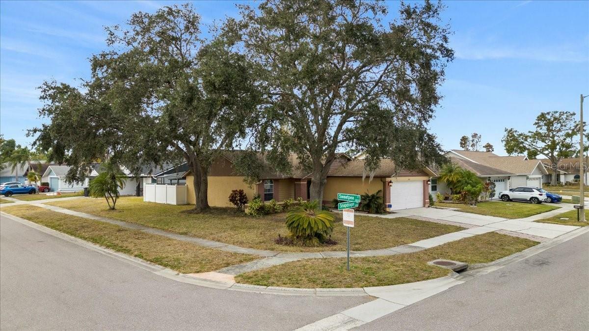 Property Photo:  11902 Snapdragon Road  FL 33635 