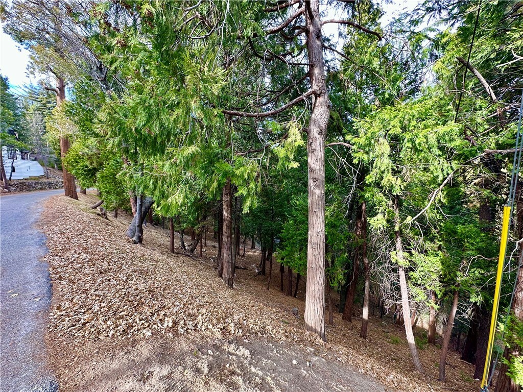 Property Photo:  291 Hillside Road  CA 92352 