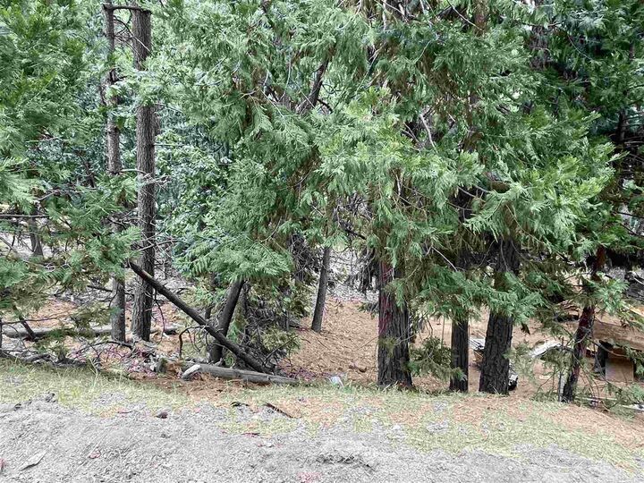 23999 S Oxbow  Sonora CA 95370 photo