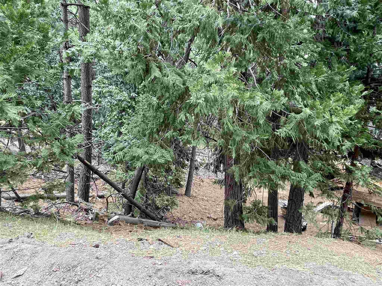 Property Photo: 23999 S Oxbow CA 95370