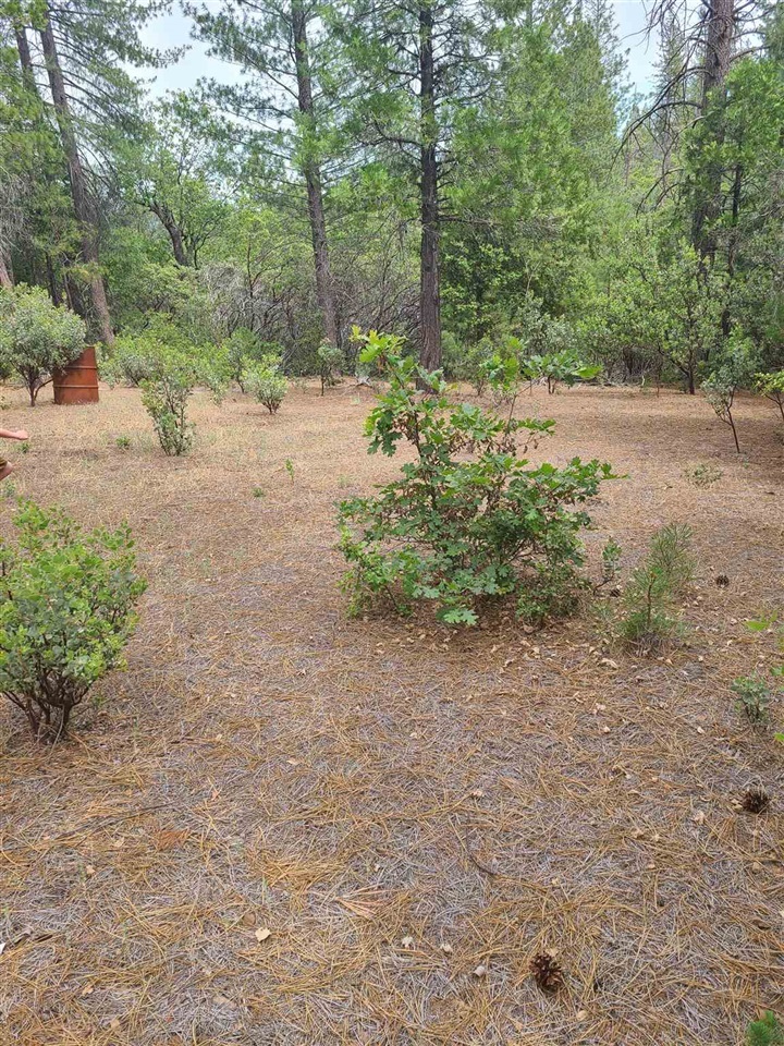 Property Photo:  22099 Hells Hollow Rd  CA 95321 