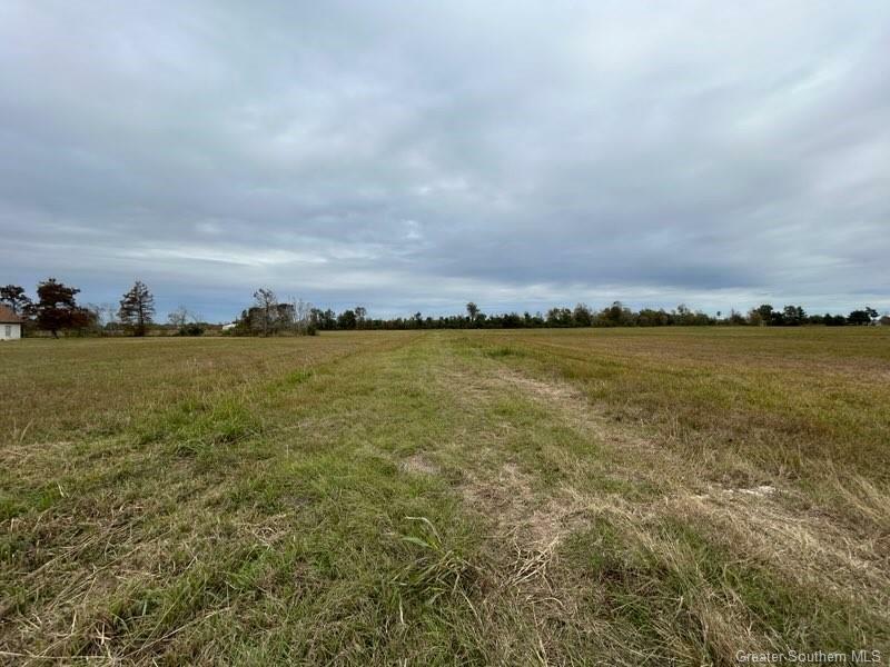 Property Photo: 0 E Gauthier Road LA 70607