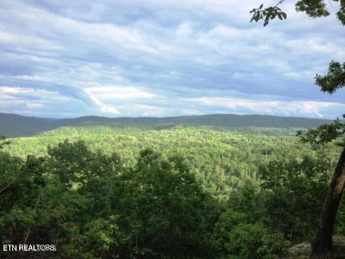 Lot 12 Green Ridge Tr  Harriman TN 37748 photo