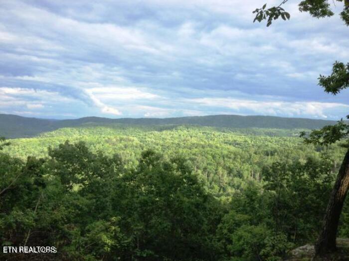 Property Photo:  Lot 12 Green Ridge Tr  TN 37748 