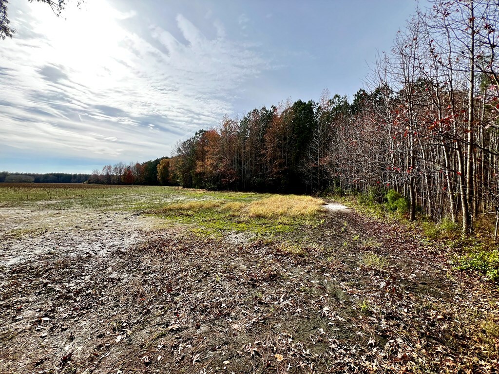 Property Photo:  Lot 11 Pungoteague Rd  VA 23401 