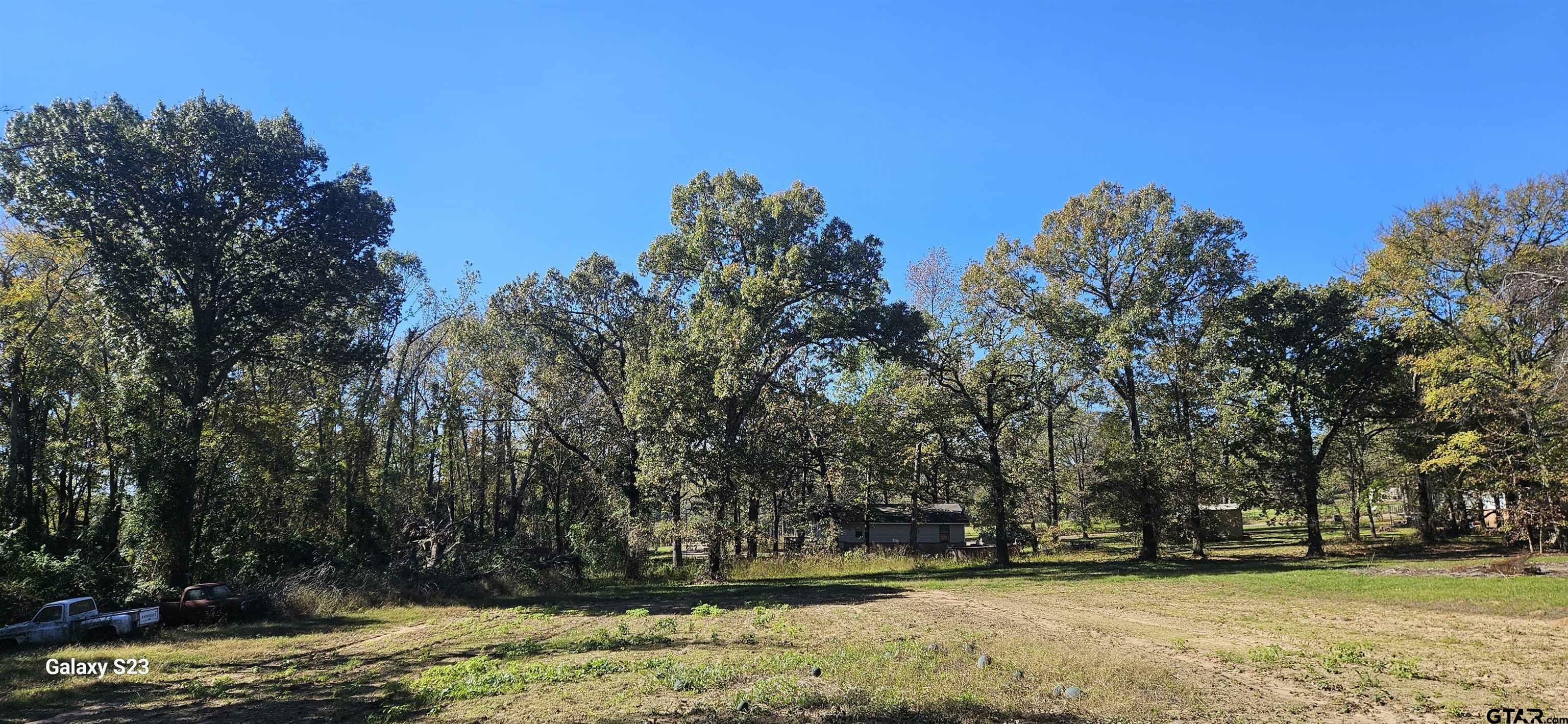Property Photo: Tbd Walling TX 75704