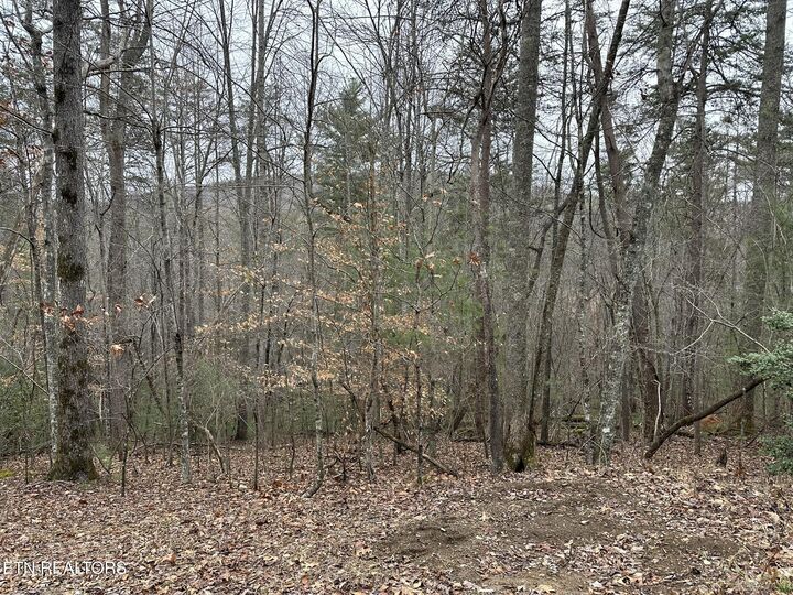 173 Pineridge Loop  Fairfield Glade TN 38558 photo