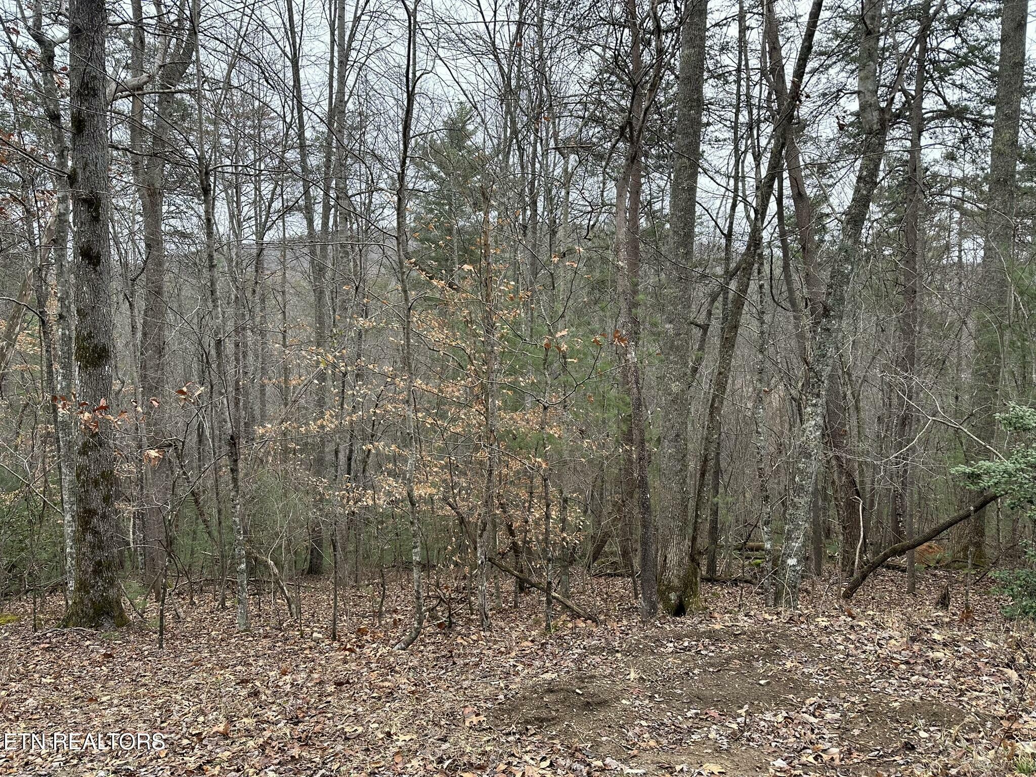 Property Photo:  173 Pineridge Loop  TN 38558 