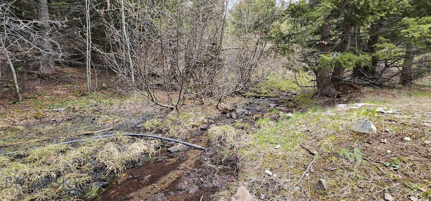 Property Photo:  13 Garnet Range Tract  MT 59832 