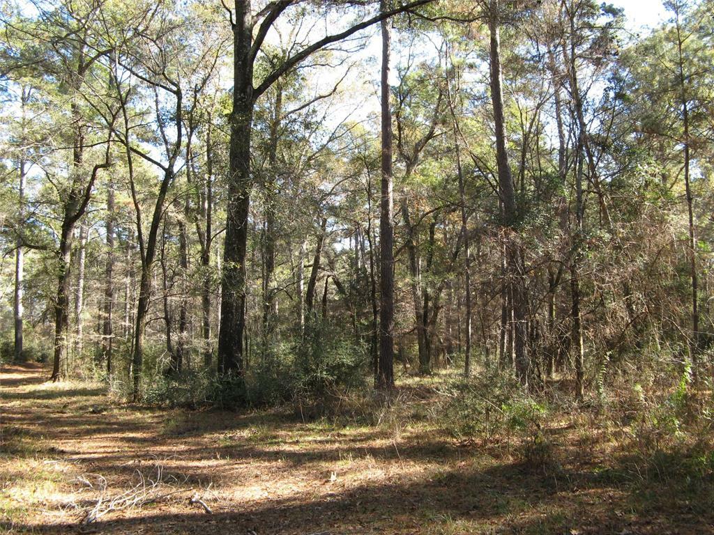 Property Photo: 0 Tbd Beef Road TX 75845