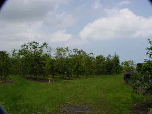 Property Photo:  Keopu Mauka Drive  HI 96725 