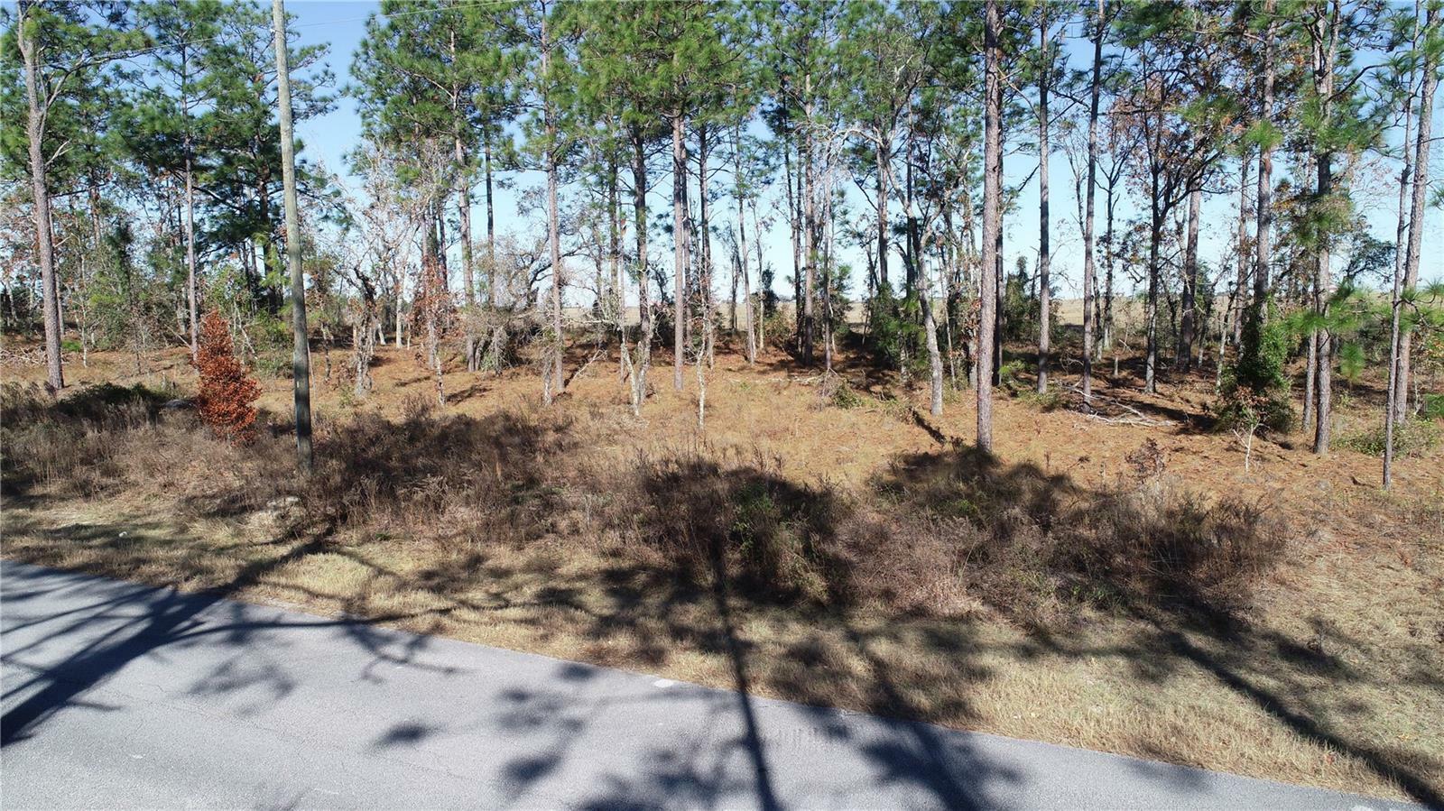 Property Photo:  Lot 13 NE Falcon Avenue  FL 34431 