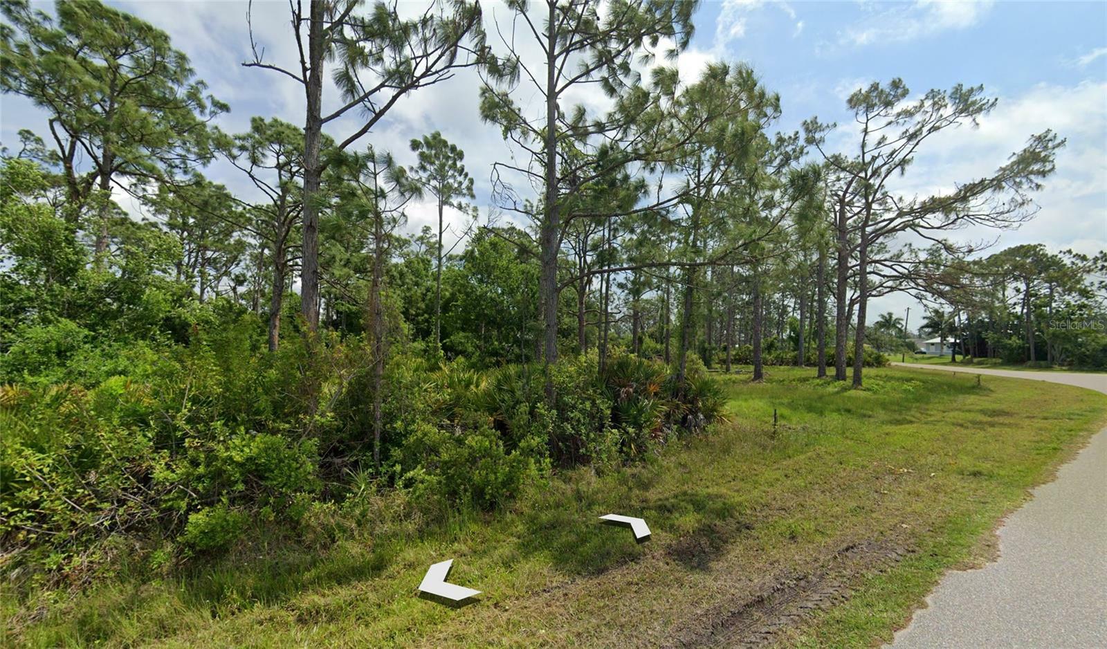 Property Photo:  13474 Hopewell Avenue  FL 33981 