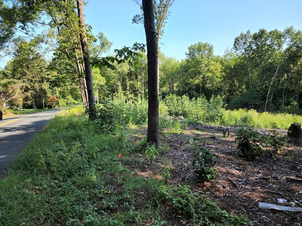 Property Photo:  Lot 7 Cold Hill  MA 01033 