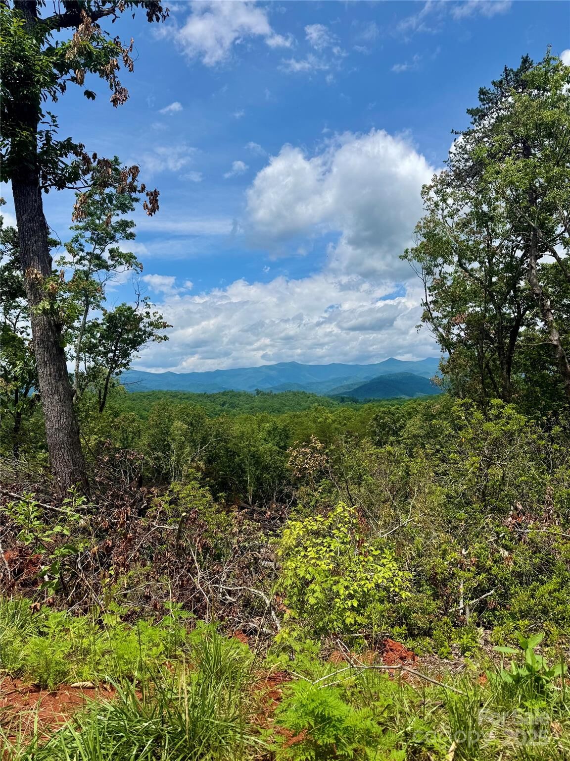 Property Photo: 182 Warren Ridge Drive 7 NC 28762