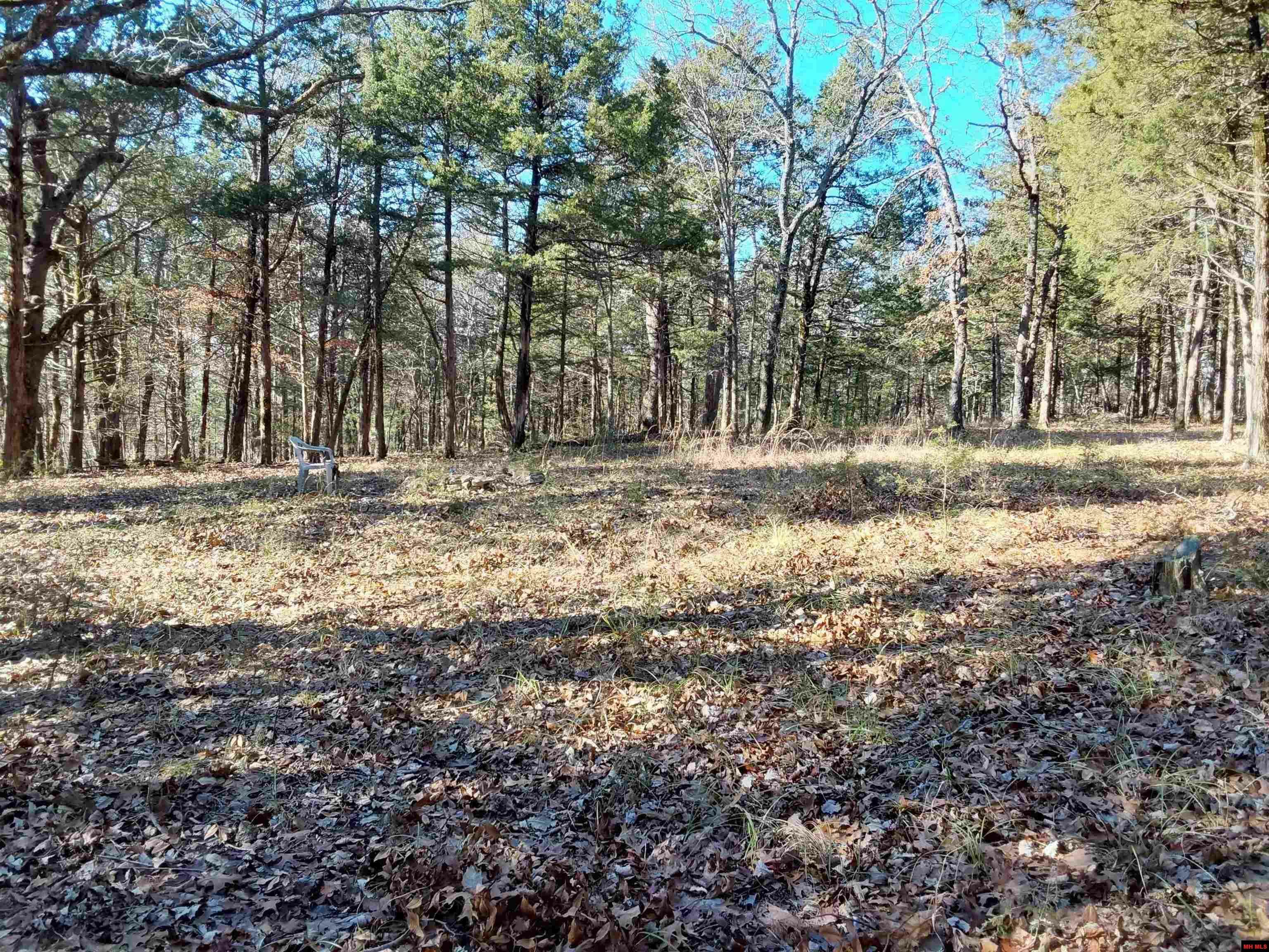 Property Photo: Lot 1-4 Mc 131 AR 72661