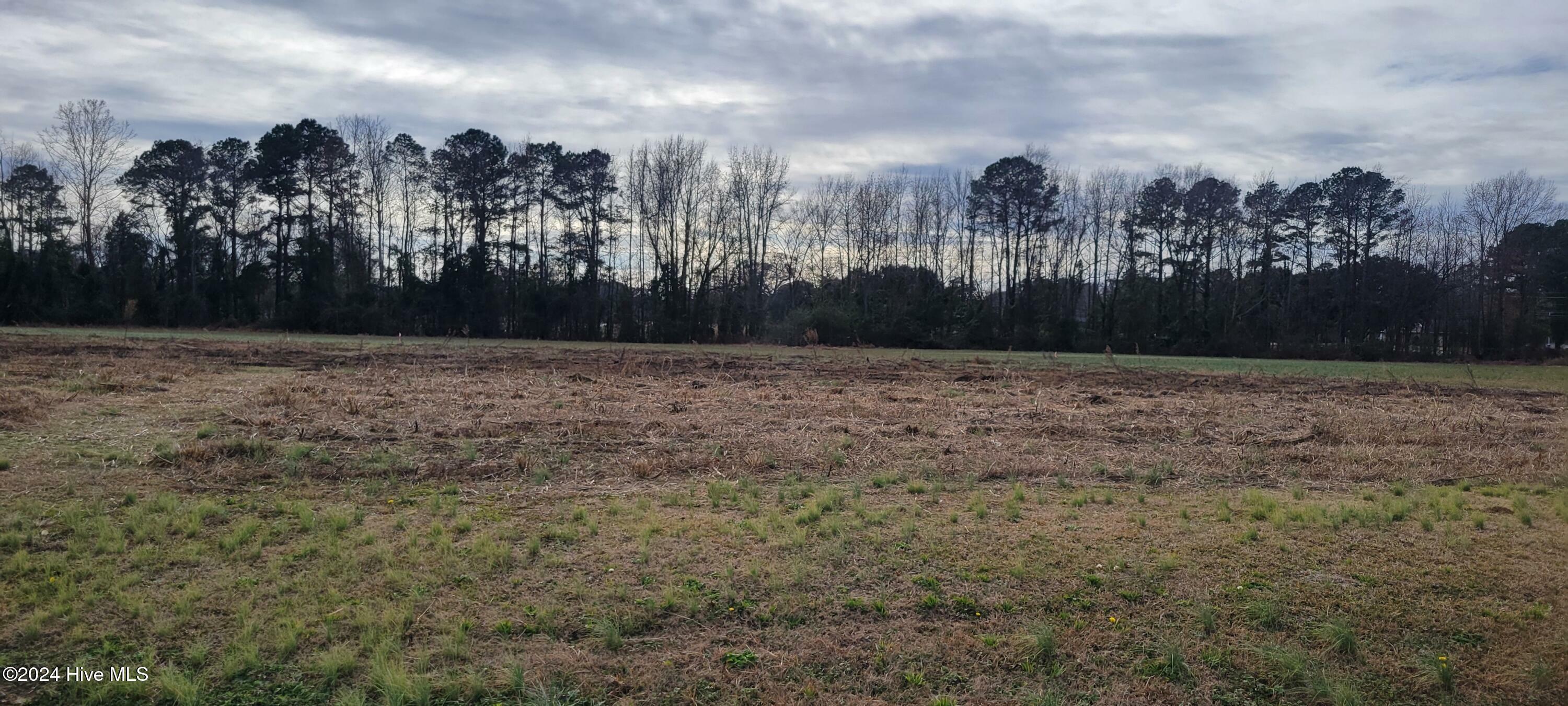 Property Photo:  Lot 1 Crown Drive  NC 27889 