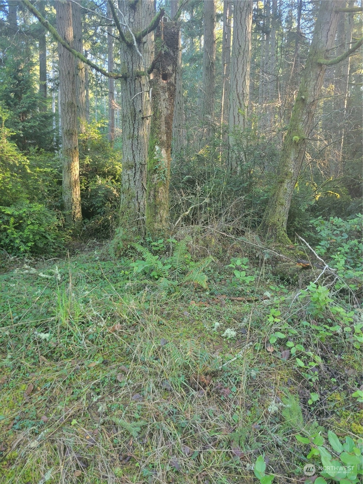 Property Photo:  11920  Country Club Drive  WA 98303 