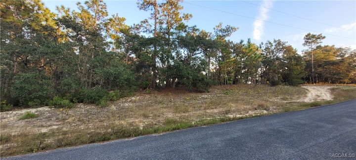 Property Photo:  11373 N Kenney Loop  FL 34434 