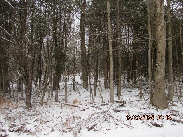 0 Blanchard Road  Potsdam NY 13676 photo