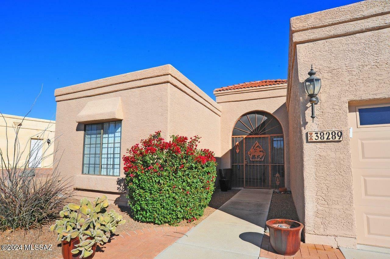 Property Photo:  38289 S Silverwood Drive  AZ 85739 