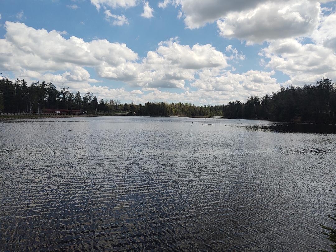 Property Photo: 7039 River Bend Drive MI 49765