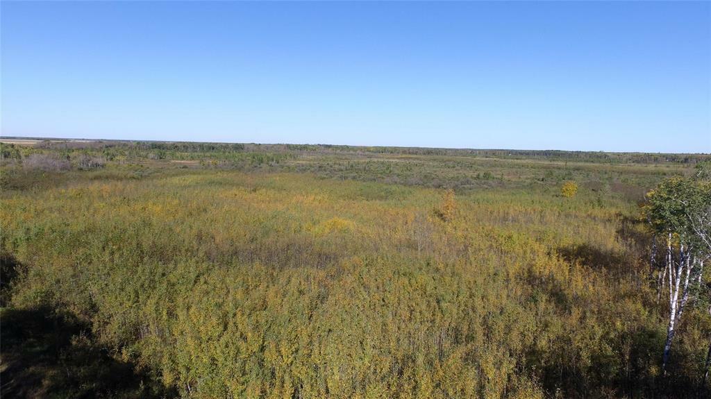 Photo de la propriété:  0 77N Road  MB R0E 0M0 