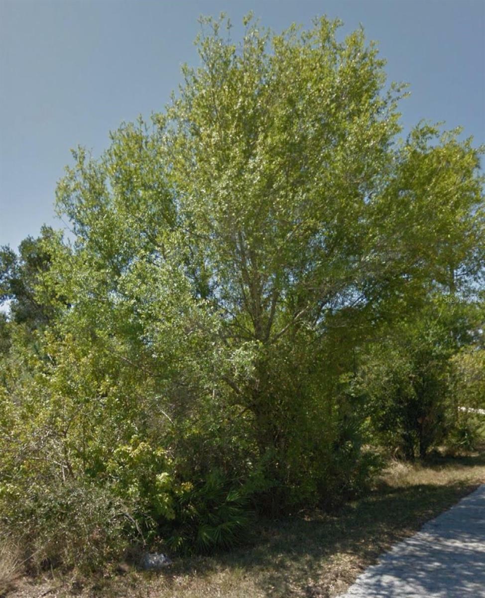 Property Photo: 23509 Branch Avenue FL 33980