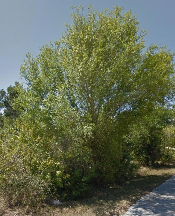 Property Photo:  23509 Branch Avenue  FL 33980 