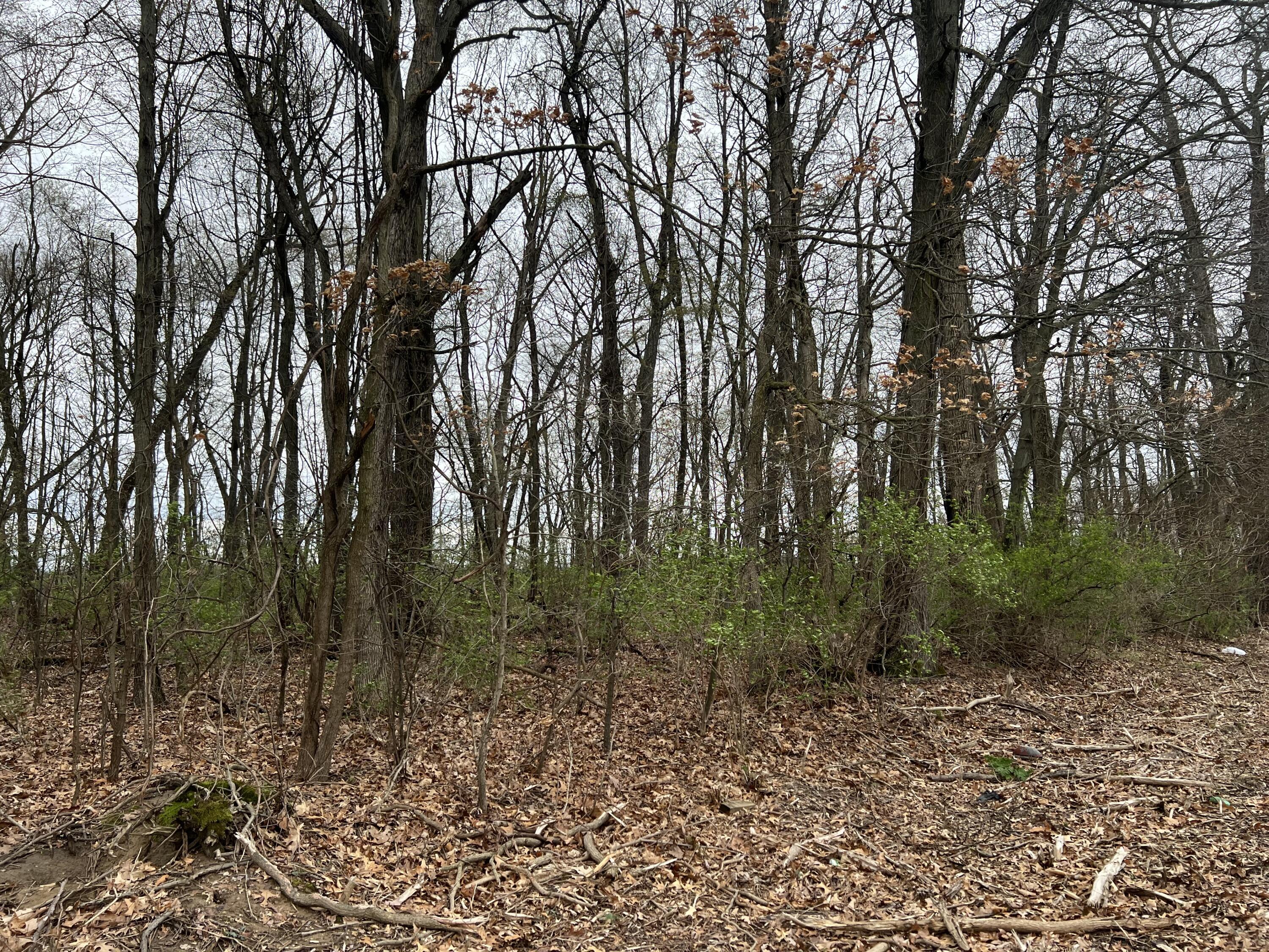 Property Photo:  V/L Crystal Springs Street  MI 49047 