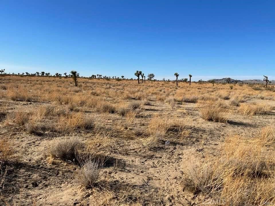 Property Photo:  0 - Vinton Road  CA 92301 