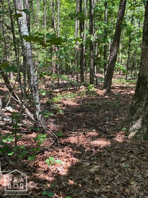 Property Photo: 12 Castano (Lot 12) Lane AR 71909