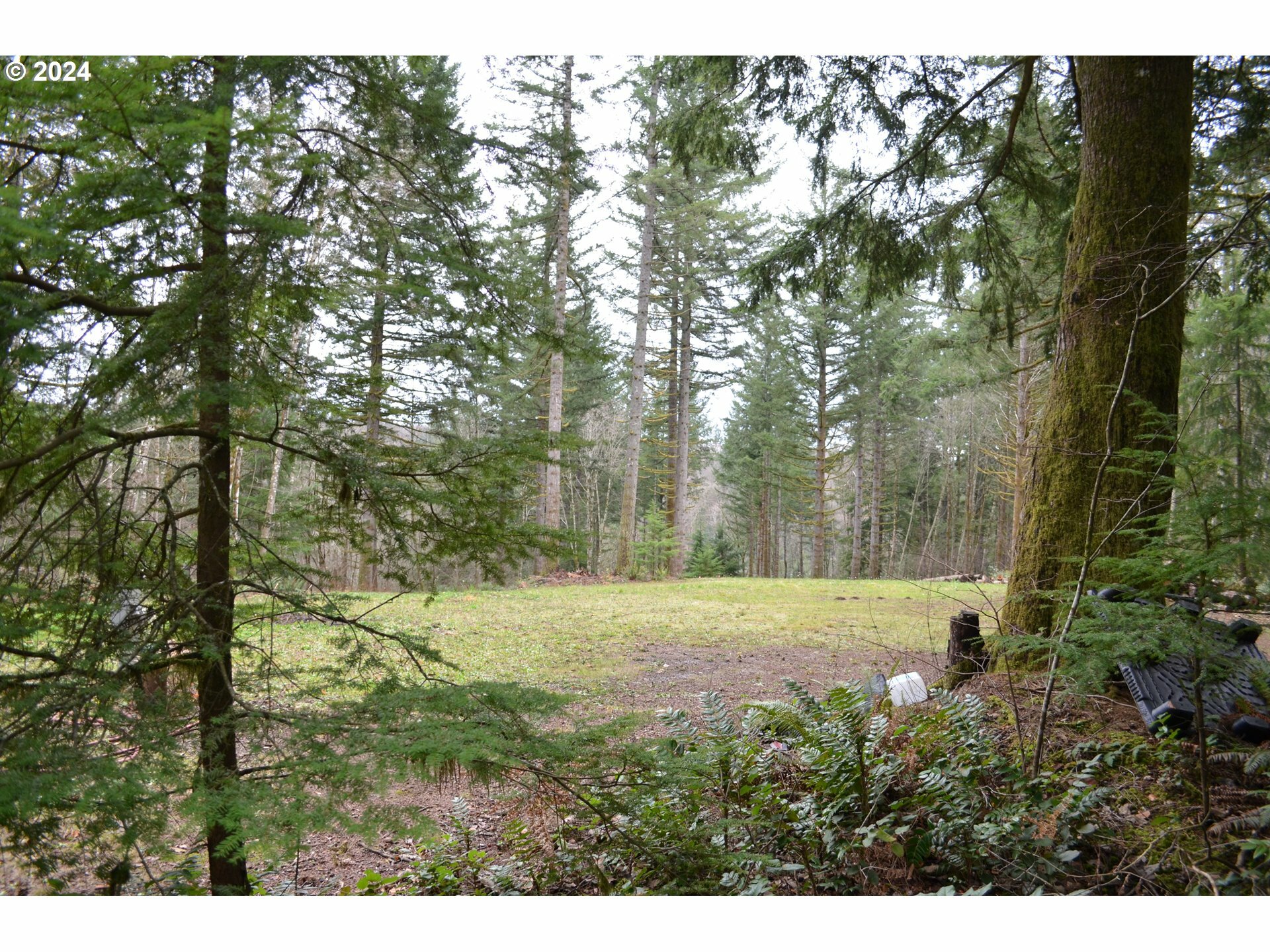 Property Photo:  NE 24th St  WA 98671 