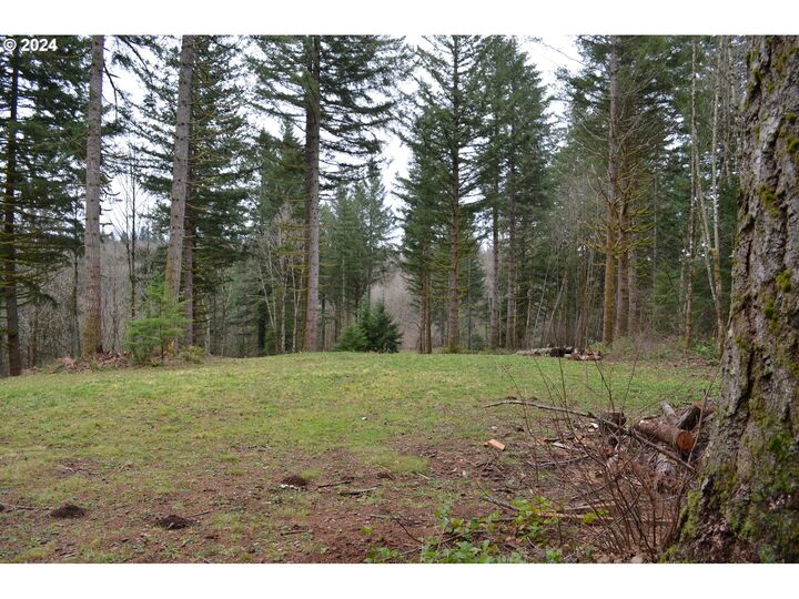 Property Photo: NE 24th St WA 98671