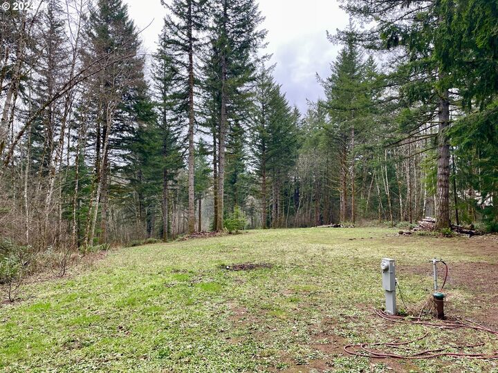 Property Photo: NE 24th St WA 98671