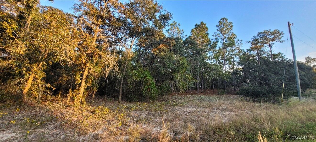 Property Photo: 11377 N Kenney Loop FL 34434