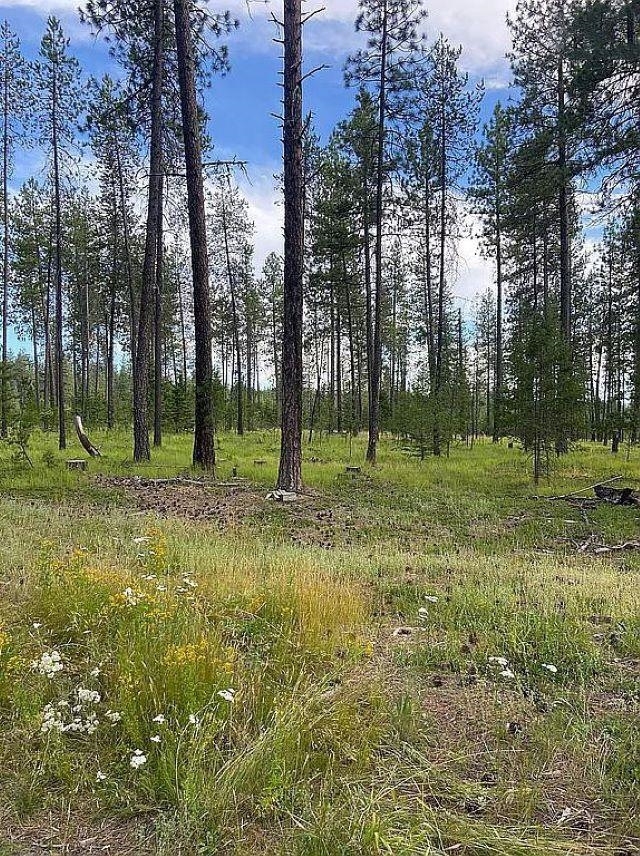 Property Photo:  151xx E Oregon Rd Parcel 49111.9068  WA 99009 