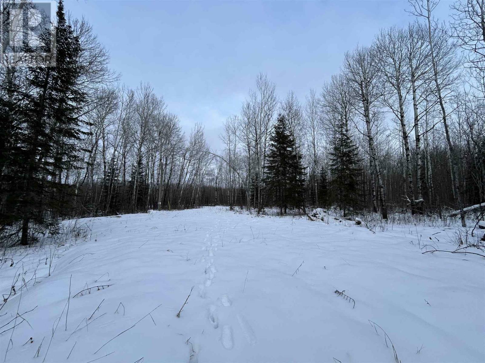 Property Photo:  905 Frog Creek Rd  ON P9A 3M2 