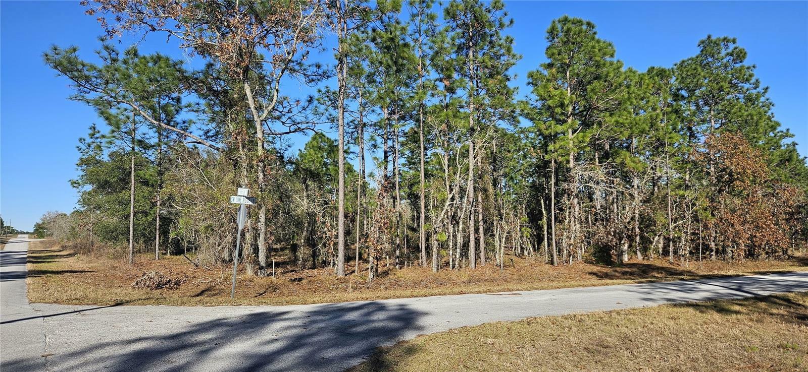 Property Photo:  Lot 10 SW Mineola Lane  FL 34431 