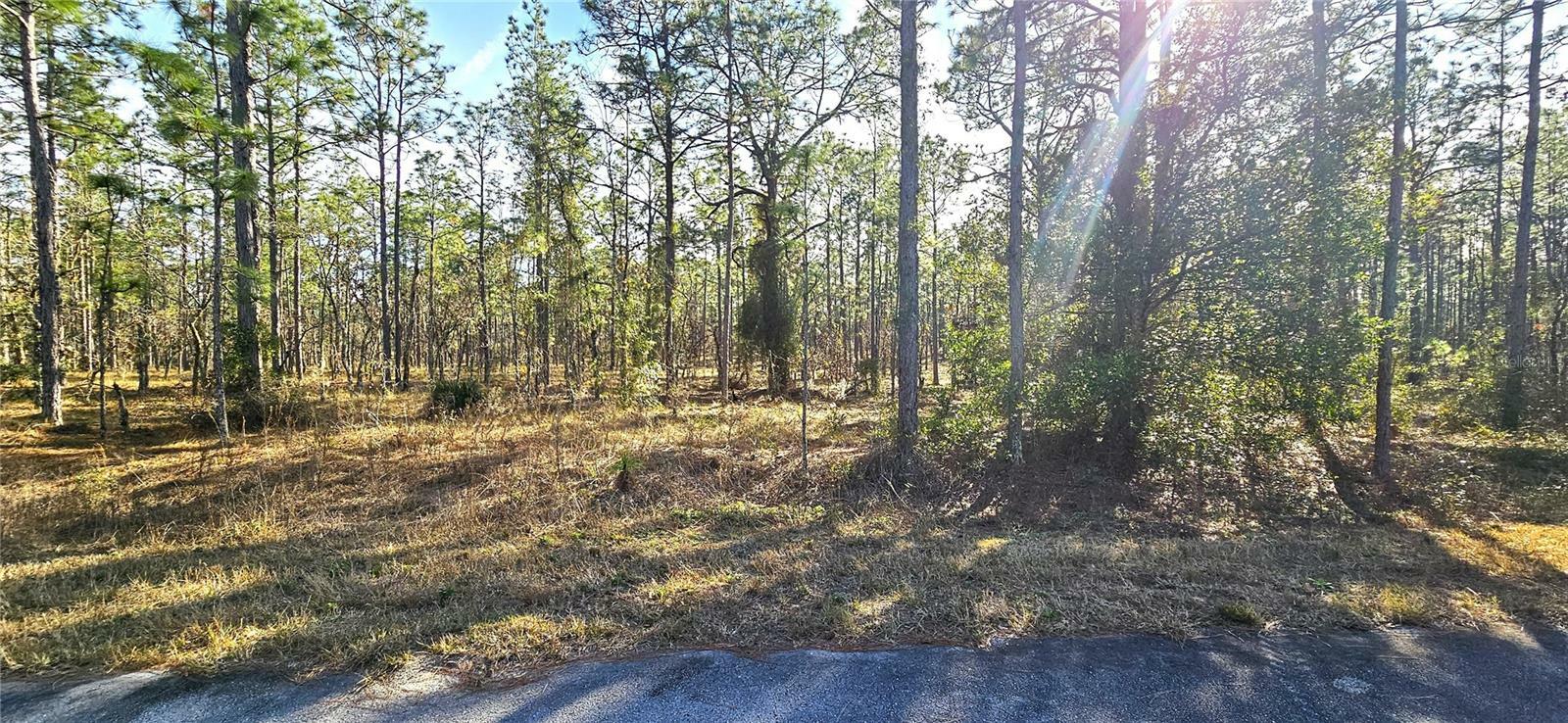 Property Photo:  Lot 10 SW Mineola Lane  FL 34431 