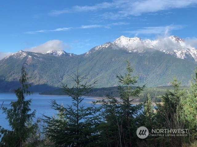 Property Photo: 5780 N Lake Cushman Road WA 98548