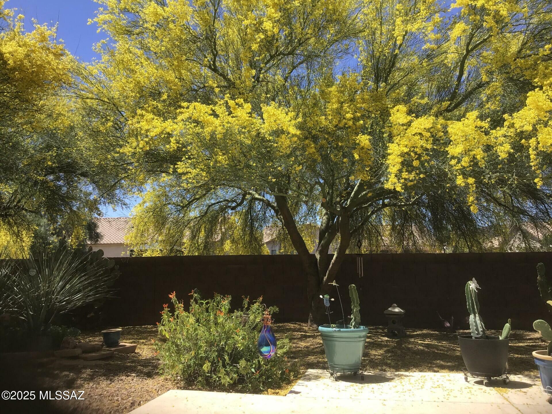 Property Photo:  9367 N Sombrero Canyon Drive  AZ 85743 