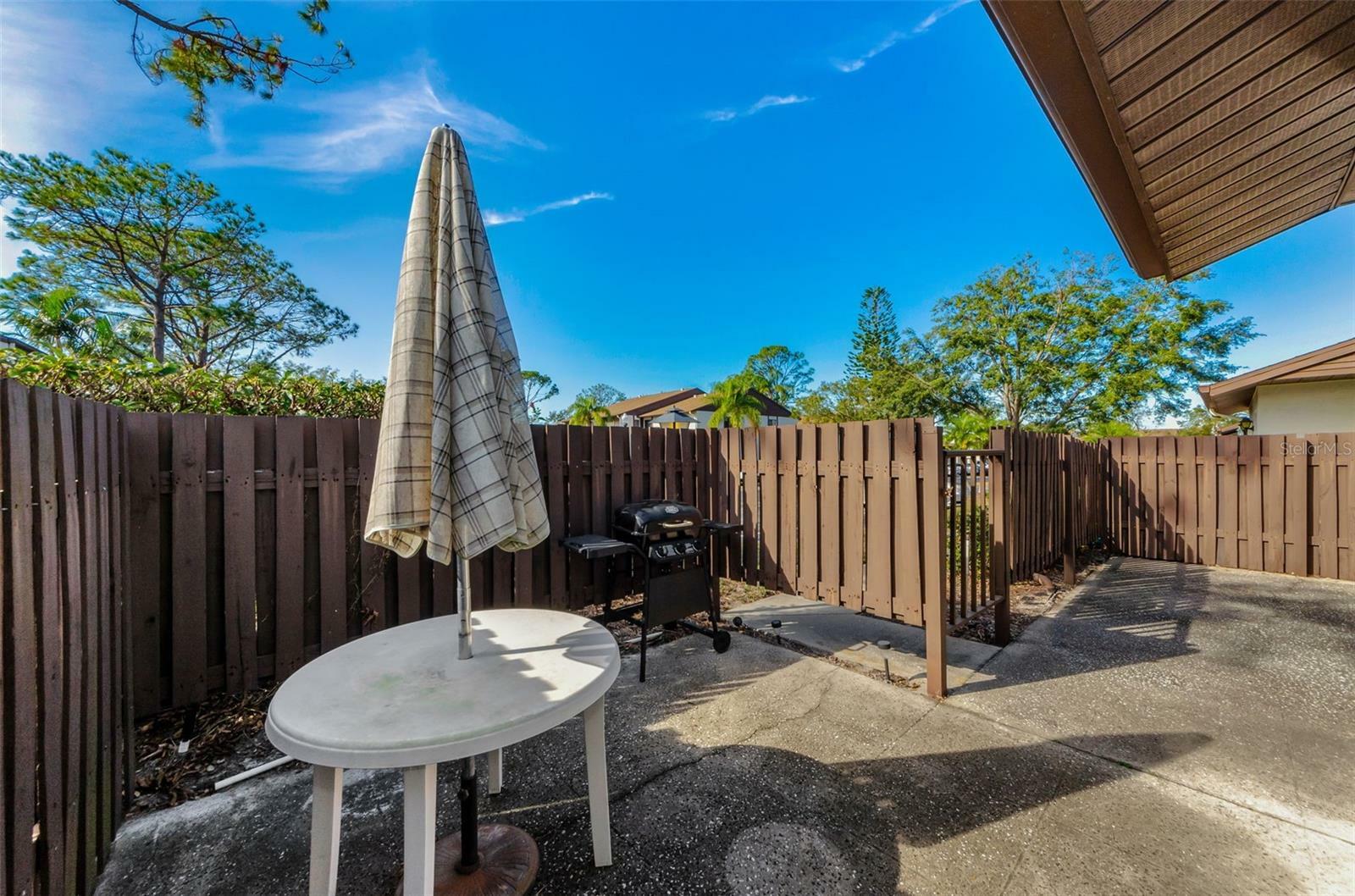 Property Photo:  1725 Pine Ridge Way E  FL 34684 