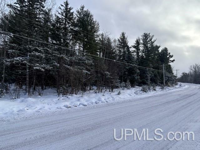 Property Photo:  Parcel A Bootjack Road  MI 49945 